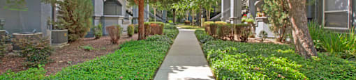 Lush Green Scenery | Apartments for Rent in Sacramento CA | Broadleaf Apartments