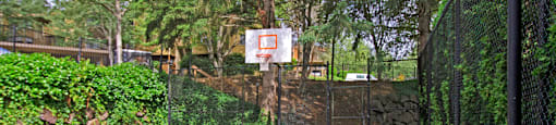 Taluswood Apartments Ourdoor Basketball Courts | Apartments In Mountlake Terrace, WA | Taluswood Apartments