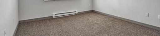 a bedroom with a window and a carpeted floor