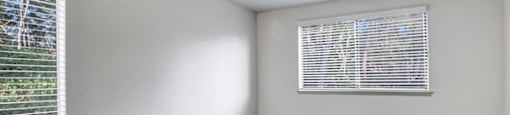 a bedroom with two windows and a carpeted floor