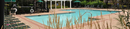 Randall Village Apartments- Crystal Lake, IL - Pool
