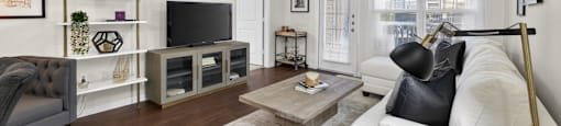 A living room with a grey couch, a coffee table, and a television.