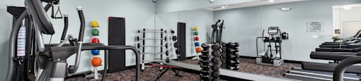 A gym with treadmills, weights, and exercise equipment.