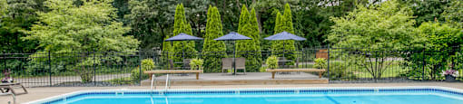 A pool surrounded by trees and umbrellas.