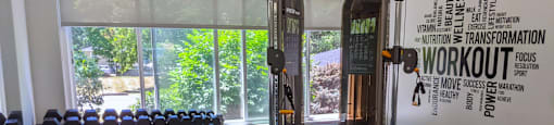A gym with a row of dumbbells and a treadmill.