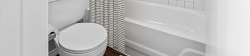 a bathroom with a toilet and a bathtub
