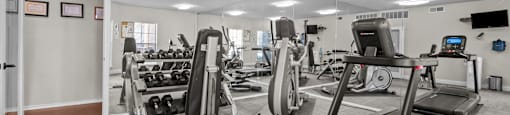 A gym with treadmills, weights, and exercise machines.