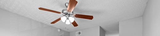 A room with a ceiling fan and carpeted floor.