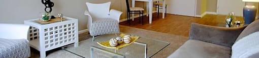 Furniture in living room