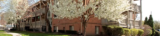 a tree with white flowers in front of an apartment building