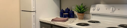 A white stove top oven with a plant on the counter.