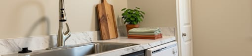 A kitchen with a white sink and a white dishwasher.