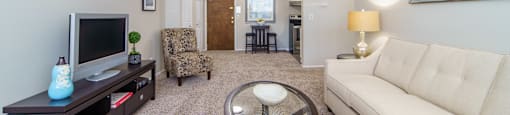 Living area with plush beige carpeting.