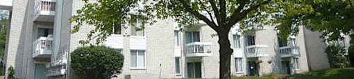 Charlton Apartments leasing office exterior with tree