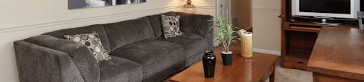 Living room with gray couch and elephant painting