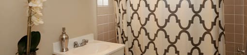 Bathroom with brown and white shower curtain