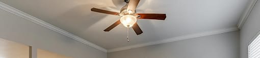 A room with a ceiling fan and carpeted floor.