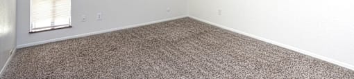 A room with a carpeted floor and a window.
