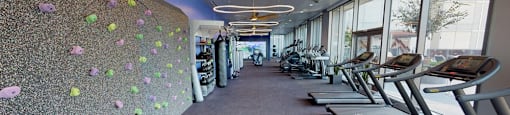 A gym with treadmills and a climbing wall.