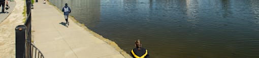 A person in a yellow jacket is standing by a body of water.