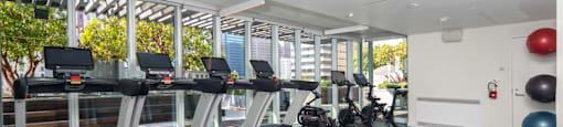 A gym with treadmills and exercise balls.