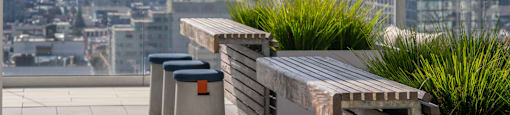 A row of concrete planters with greenery in the foreground and a cityscape in the background.