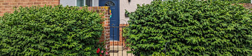 A house with a blue door and a small garden in front.