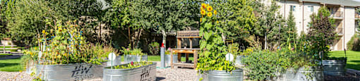 Community garden boxes at Mullan Reserve Apartments in Missoula, MT