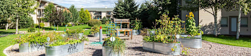 The community gardens at Mullan Reserve Apartments in Missoula, MT