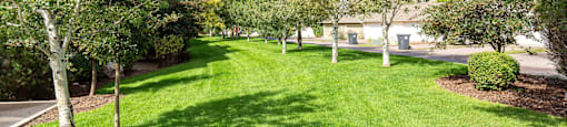 A grassy area with trees and a building in the background at Mullan Reserve Apartments in Missoula, MT