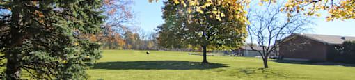 Green Spaces With Mature Trees at Lansing Riverwood, LLC, Illinois, 60438