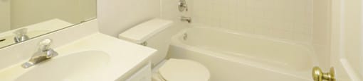 Large Soaking Tub In Bathroom at Lansing Riverwood, LLC, Lansing, Illinois