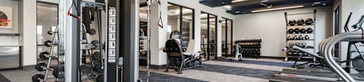 A gym with a variety of equipment including treadmills, weights, and a bench press.