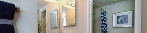 Ironwood at the Ranch Apartments Bathroom with separate shower and toilet