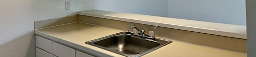 A kitchen with a sink and cabinets.