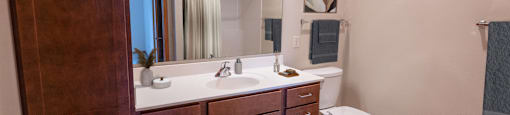 a bathroom with a sink and a toilet and a mirror