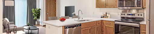 One Bedroom, One Bath open concept