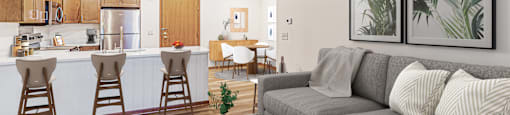 One bedroom, one bath open concept