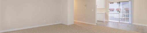 Empty room with a rug on the floor and a window with blinds.