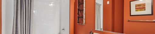 a bathroom with a shower toilet and sink and a mirror