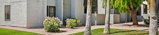 our apartments offer a clubhouse