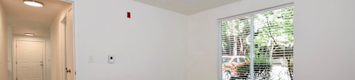 A room with wooden floors and a window showing trees outside.