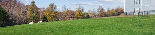 Exterior and lawn at England Run Apartments in Fredericksburg VA