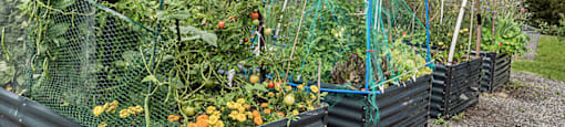 Community garden planters at Woodrose Senior Affordable Apartments in Bellingham WA