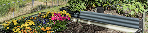 Community garden at Woodrose Senior Affordable Apartments in Bellingham WA
