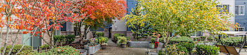 Courtyard at Alderwood Court in Lynnwood WA