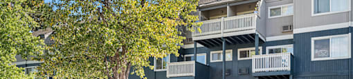 Exterior Buildings and Landscape at The Pines in Lakewood CO