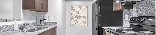 Kitchen cabinets at Cedar Grove Apartments in Miami FL
