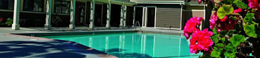 pool at Belmont Apartment Homes in Pittsburg, CA
