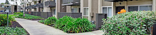 exterior shot at Turnleaf Apartments in San Jose, CA